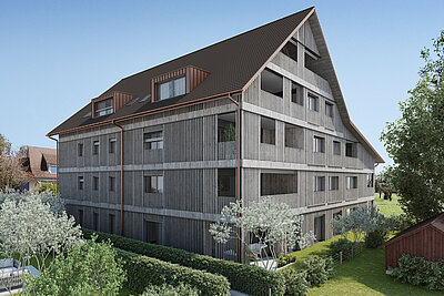 Aussenvisualisierung des Projekts am Ried in Niederuster